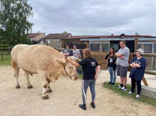Pendant un atelier, Sabine Rouas pose la main sur la tête d’Aston devant un groupe de participants