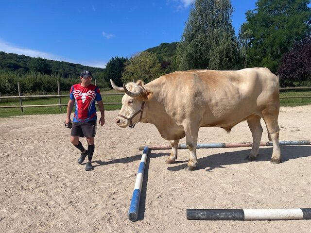 Un participant s’avance vers Aston entre des barres au sol