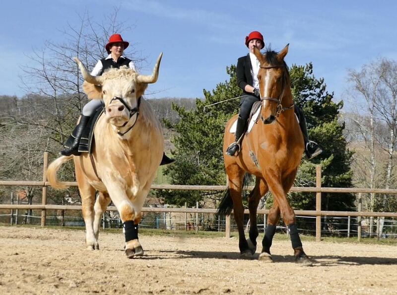 Souvenir de spectacle&nbsp;: Sabine Rouas sur Aston et Manon sur Samy, un cheval bai, côte à côte